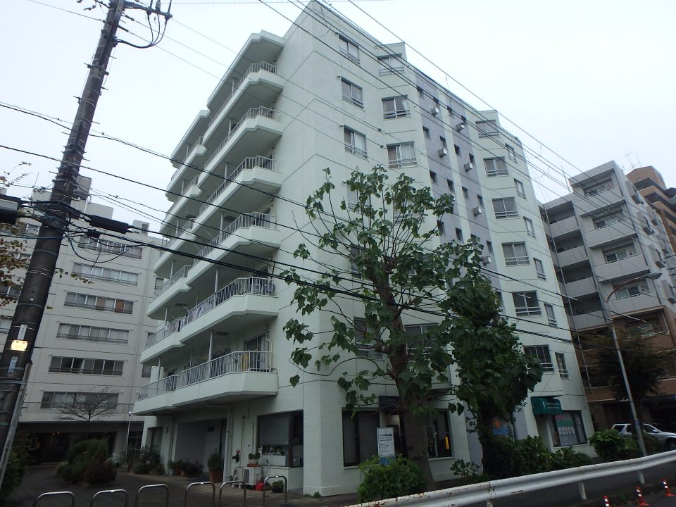ハイツエバグリーン津田沼二号棟_外観