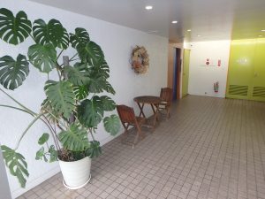 ハイツエバグリーン津田沼二号棟_エントランスホール
