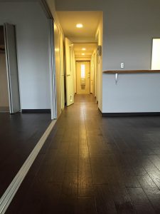 ネコール305_廊下