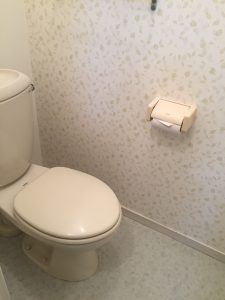 クレセント 101_トイレ