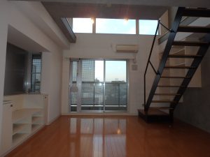 イイダアネックス７ 503_LDK01