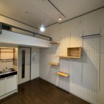 🐈魅力的な可動式ステップとロフトにネコまっしぐら❣️