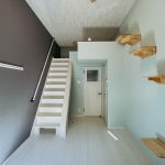 「もう1匹お迎えしたい」を叶えるお部屋✨３ネコ様OK🐈🐈🐈